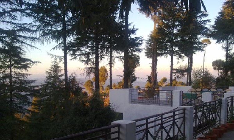 View from the Balcony