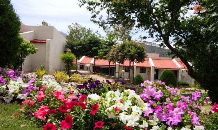 Sprawling Gardens