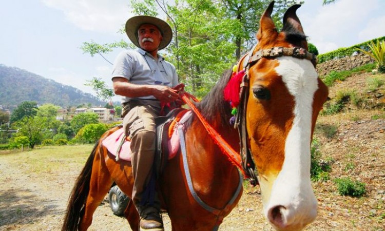 Horse Riding