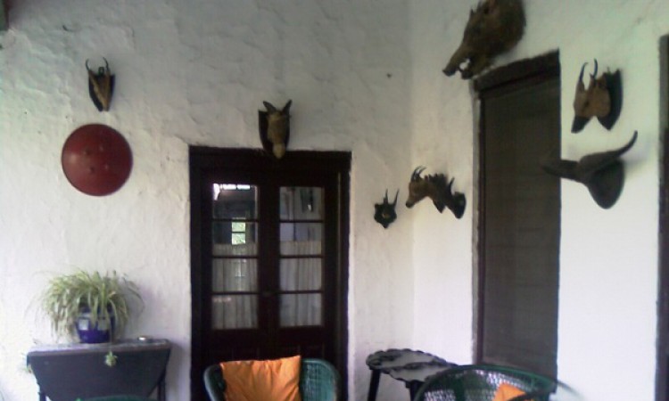 Front Verandah