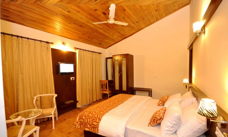 Plush Interior