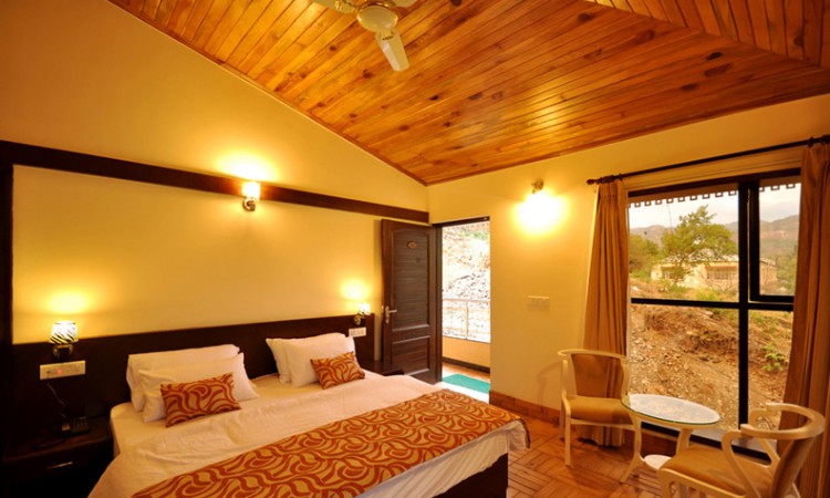 Comfortable Room