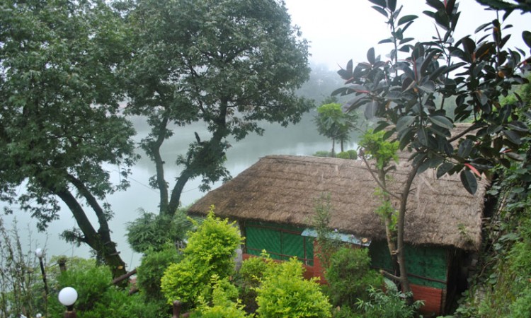 Serene View