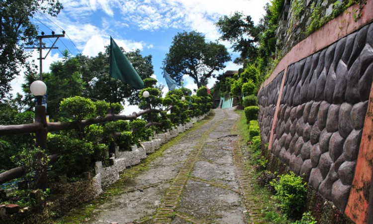 Garden Area