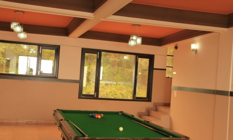 Pool Table