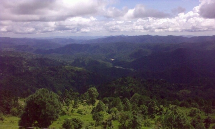 View From The Room