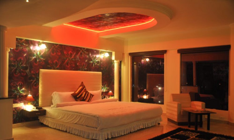 Plush Interior Plush Interior