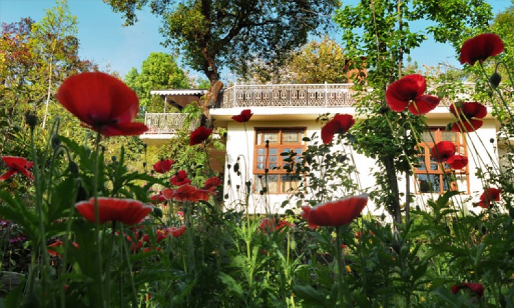 Flower Garden Flower Garden