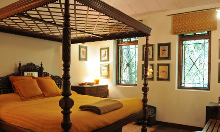 Comfortable Room Comfortable Room