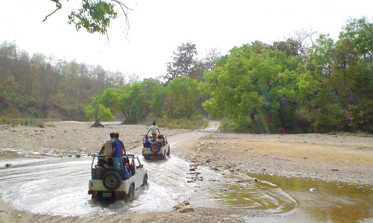 Jeep Safari Jeep Safari