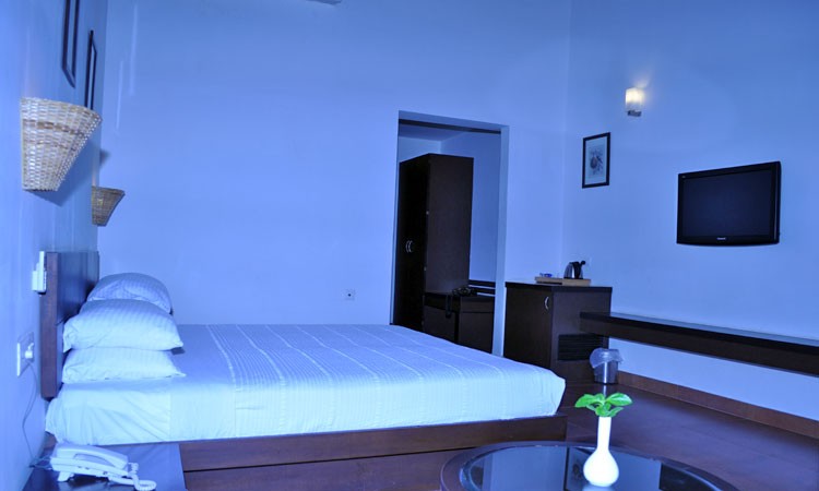 Room Room