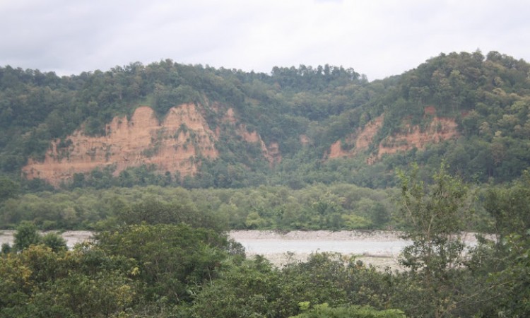 River Kosi behind Serenity River Kosi behind Serenity