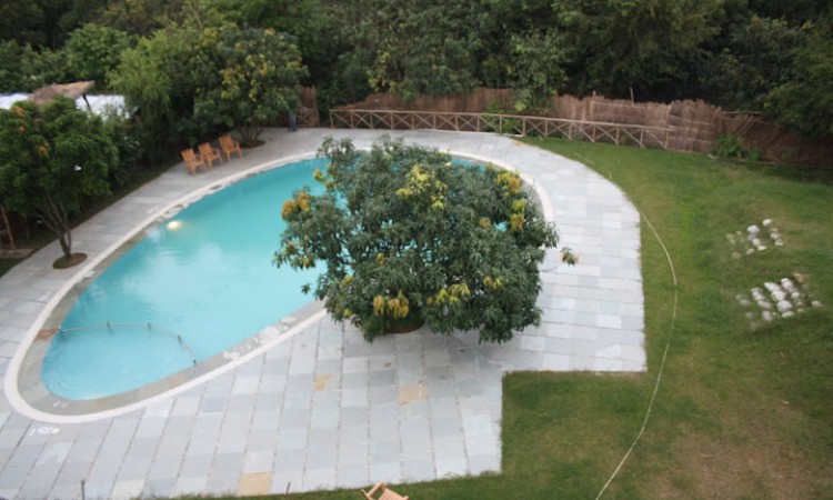 Pool View Pool View