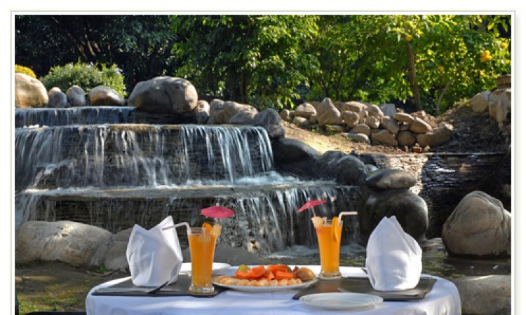 Outdoor Dining Outdoor Dining
