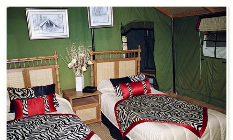 Accommodation Accommodation