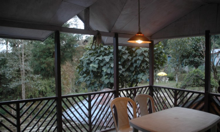Dining Area Dining Area
