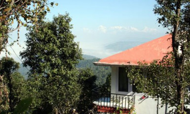 Terrace Terrace