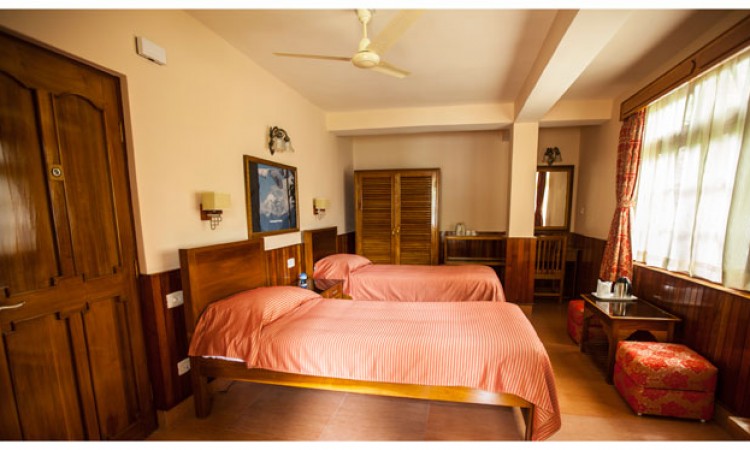 Luxury Room