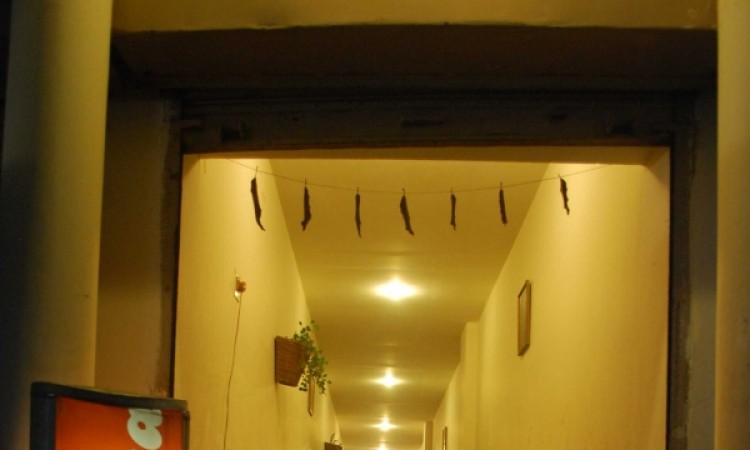 Hotel Entrance