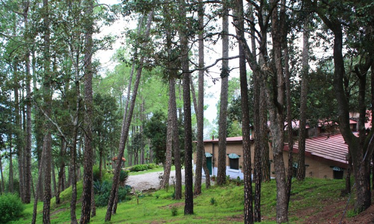 Nature view Nature view