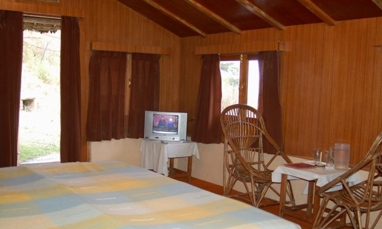 Wooden Interior