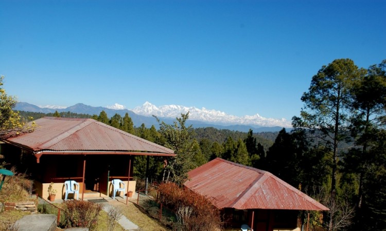 Resort View