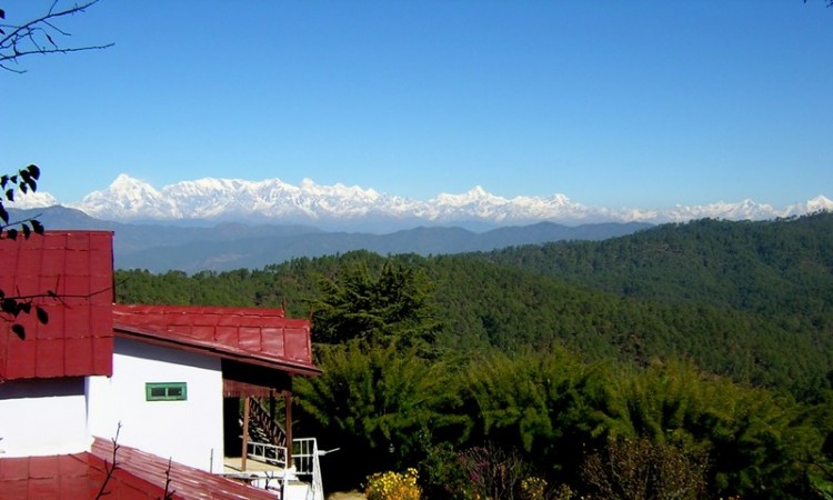 Nature View