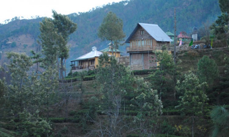 Resort View