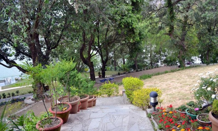 Lawn Lawn