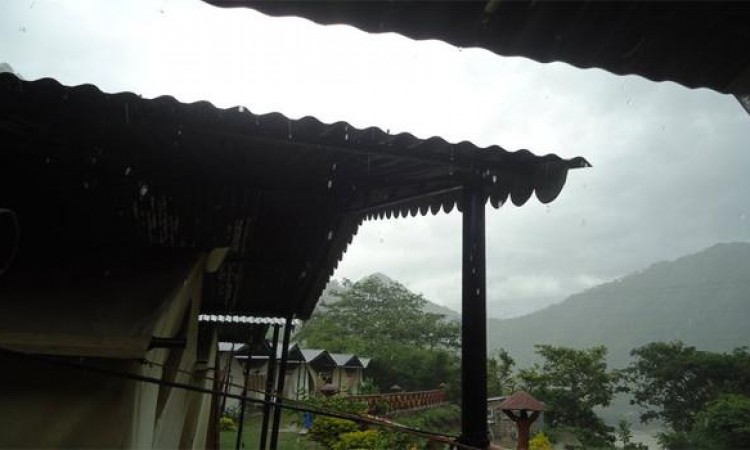 View View