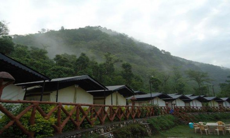 Camp View Camp View