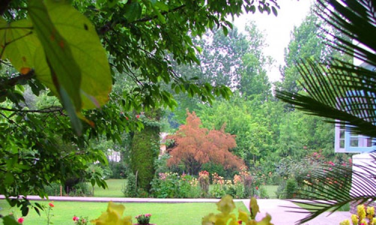 Lawn Lawn