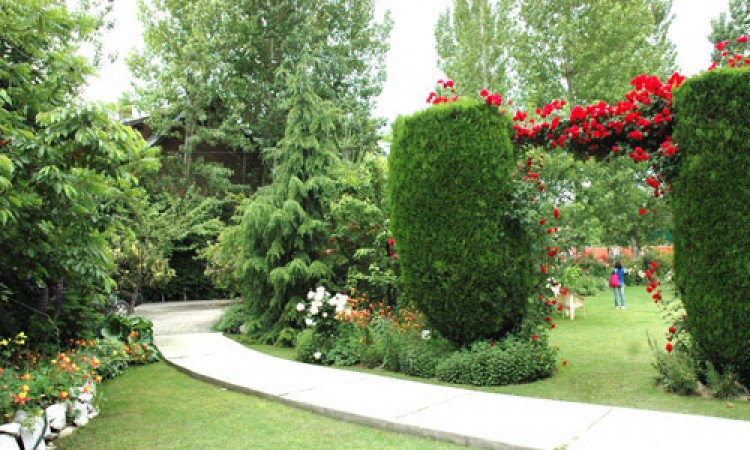 Garden Garden