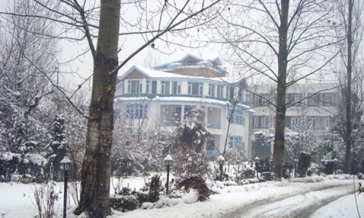 During snow During snow