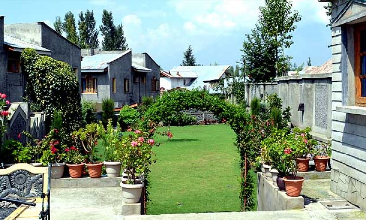 Lawn Lawn