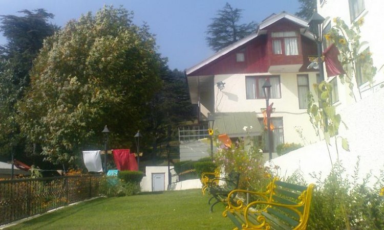 Lawn