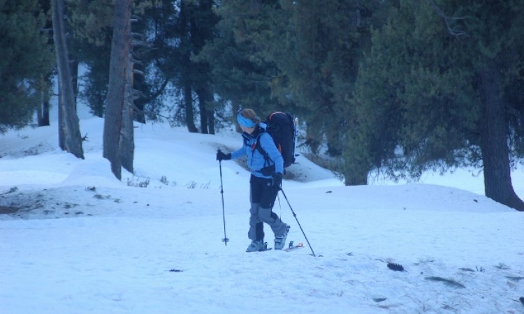 Skiing Skiing