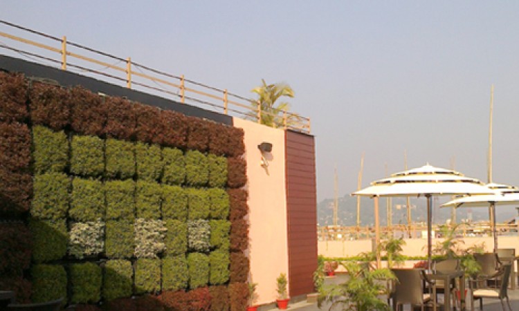 Roof Top Dining