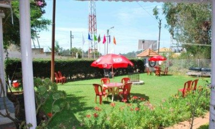 Lawn Area