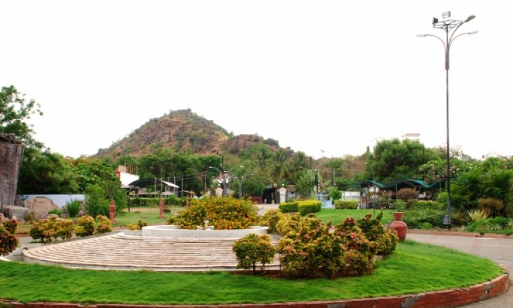 Garden Area