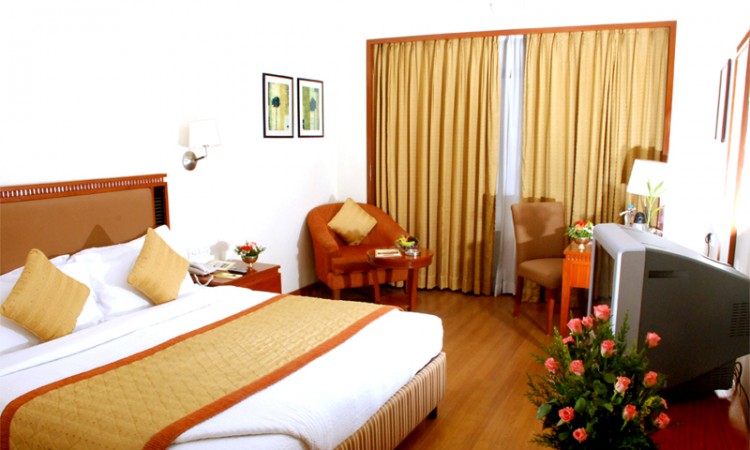 Royal Executive Room Royal Executive Room