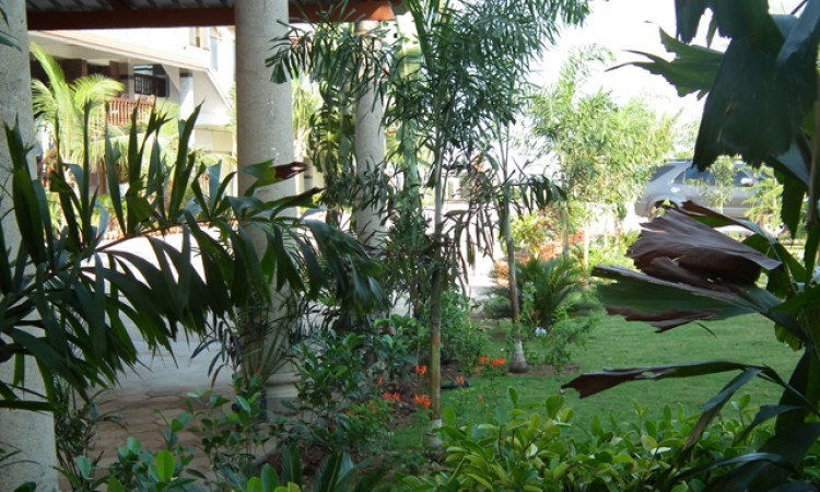 Garden Area Garden Area