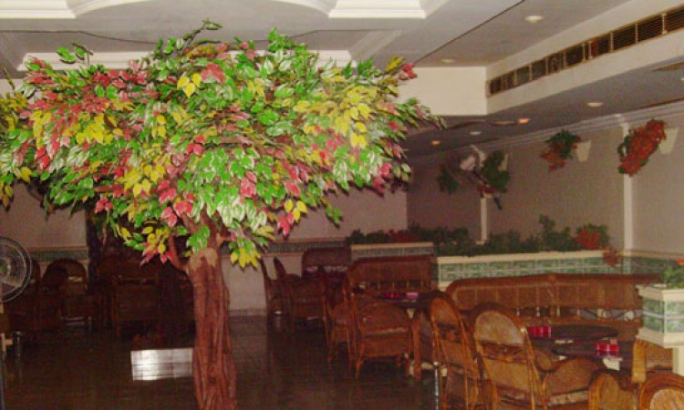 Restaurant Restaurant