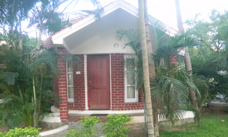 Cottage