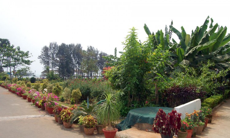 Garden Area Garden Area