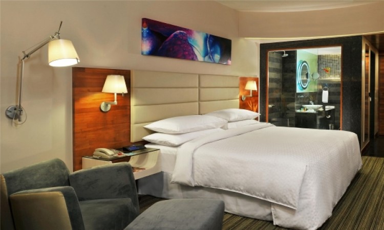 Plush Room Plush Room