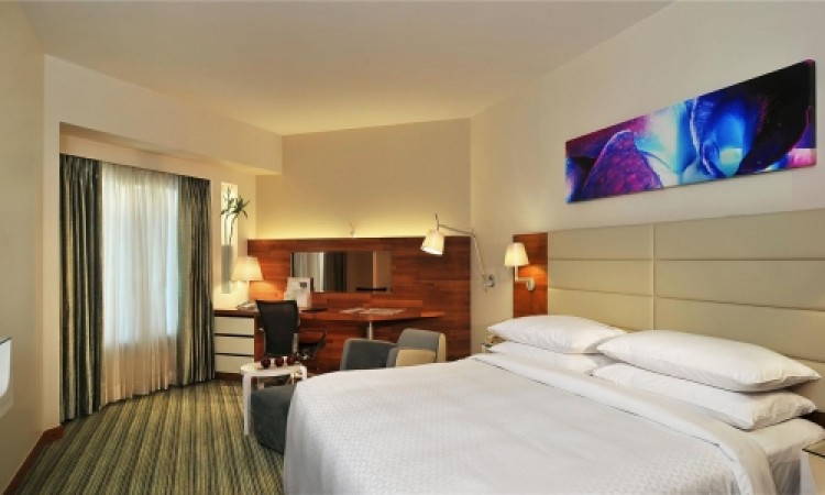 Comfort King Room Comfort King Room