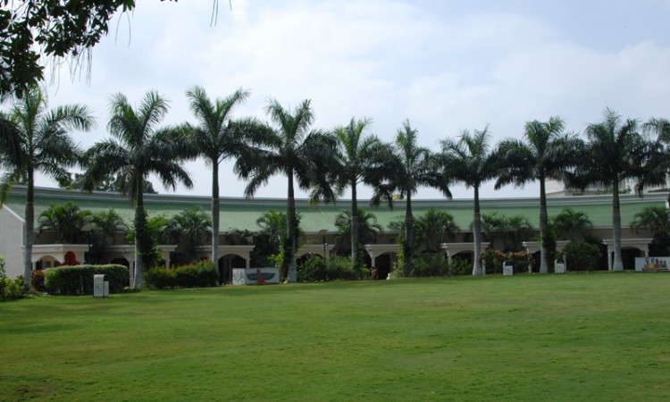 Lawn Area Lawn Area