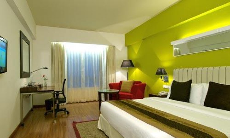 Luxurious Room