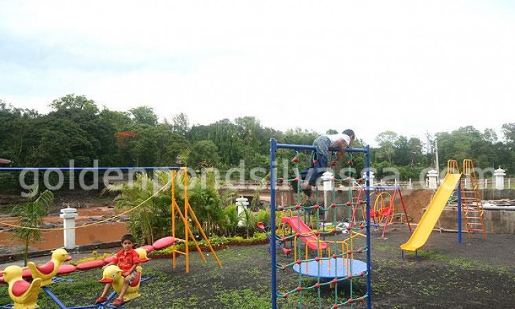 Play Area